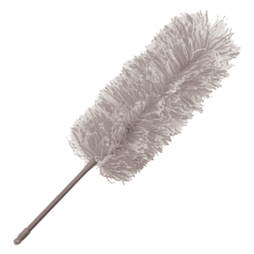 Feather Duster