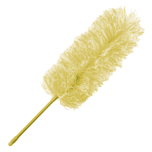 Feather Duster